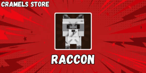 Raccoon