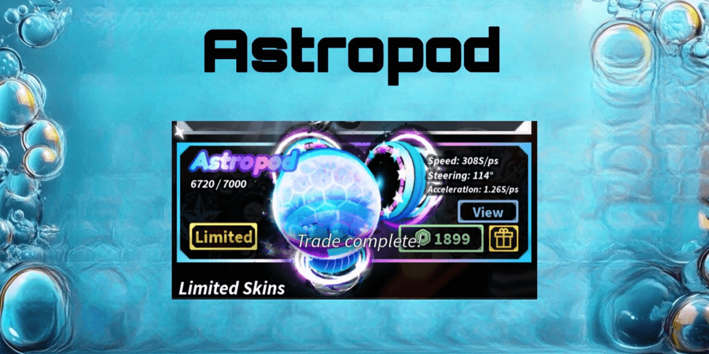 Product Showcase