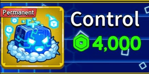 Control (Permanent)