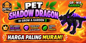 Shadow Dragon