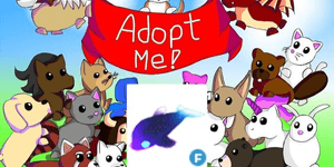 Glormy Dolphin F