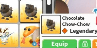 Product Showcase