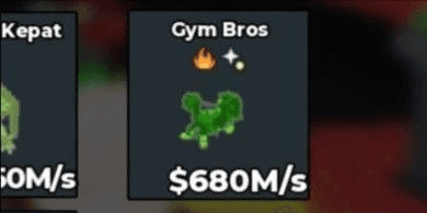 Product Showcase