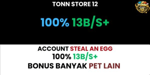Steal An Egg account