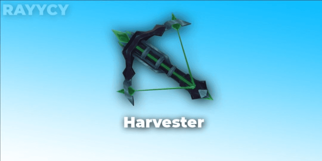 Product Showcase