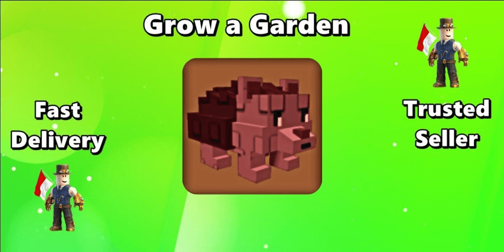 Product Showcase