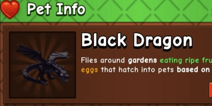 Black Dragon