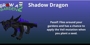 Shadow Dragon