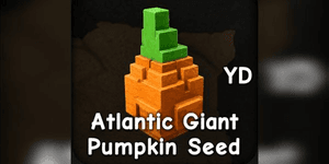 Calabaza gigante Atlantic