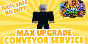 Max Upgrade Conveyor service