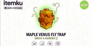 Maple Venus Fly Trap