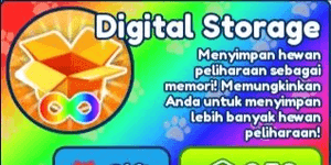Digital Storage