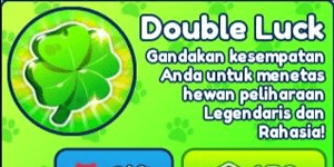 Double Luck