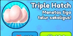 Triple Hatch