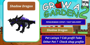 Shadow Dragon