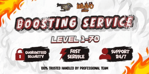 BOOSTING LEVELING SERVICE 1-70