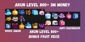 Blox Fruits Account Level 800+ 3M Money for Gacha Lots of Bonus Fruits