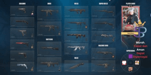 Valorant Account Last Rank Unranked Vandal, Phantom Skins & Many Agents