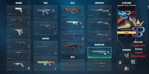 Valorant Sultan Account Last Rank Many Skin Bundles, Lots of RES, Primedium & Many Agents