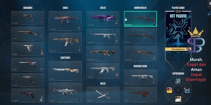 Valorant Sultan Account Last Rank Unranked Many Skin Bundles VCT, RGX, Norturium, Araxys, Champions Phantom Limited & Many Agents