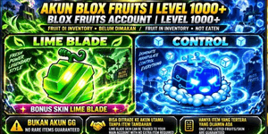 Blox Fruits Account | Control Fruits In Inventory | Detailed Description