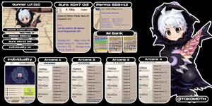 PREMIUM HIGH END GAME ACCOUNT – Gunner LVL 310 | FULL SPEC