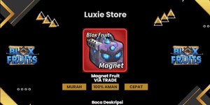 Magnet