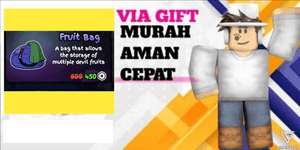 Fruit Bag