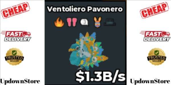 Product Showcase