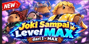 BOOST TO MAX LEVEL