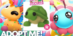 Turtle R