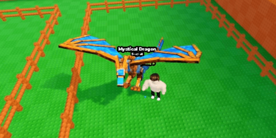 Product Showcase