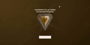 Bronze per rank