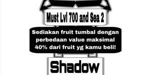 Shadow