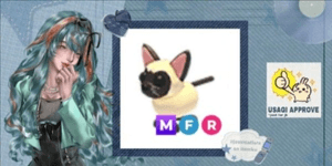 सियामीज - MFR
