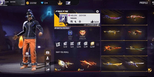 evo gun 2 (M4 + MP5 MAX), sg2 meteor, vault 400+ mayan, main P90 incubator, arrival animation ON