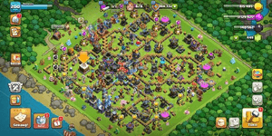 Town Hall 18 SEMI MAX