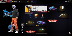 EVO GUN 1 AK MAX | SG2 3 SKINS | VAULT 450+ | JOKER V2 ACTIVE | MAIN INCU BUNDLE ACTIVE | SG6 UMP MP40 YELLOW MAIN INCU ACTIVE