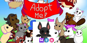 Bat MFR