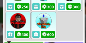 Premium