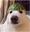 seller-image