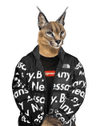 seller-image