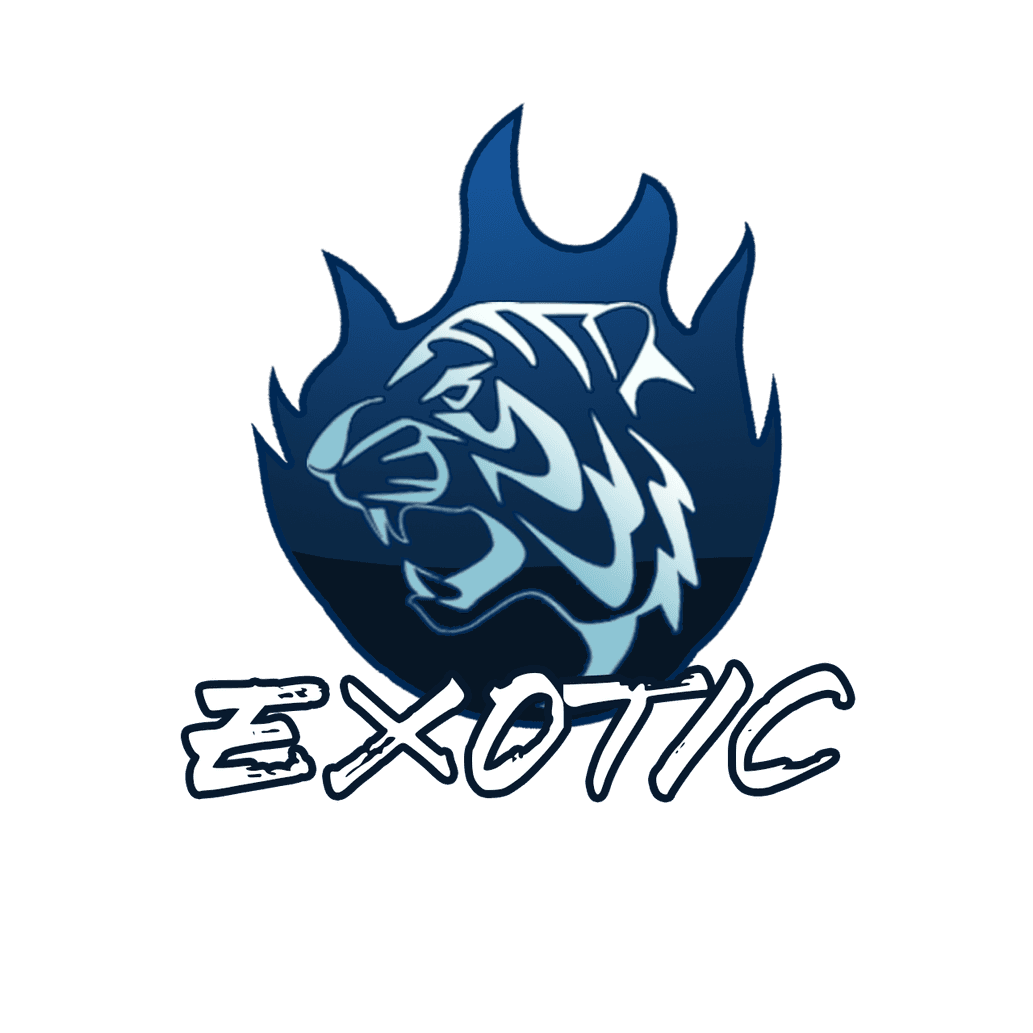 avatar Lost Saga Exotic