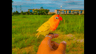 seller-image
