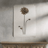 seller-image