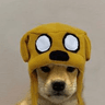 storeAvatar