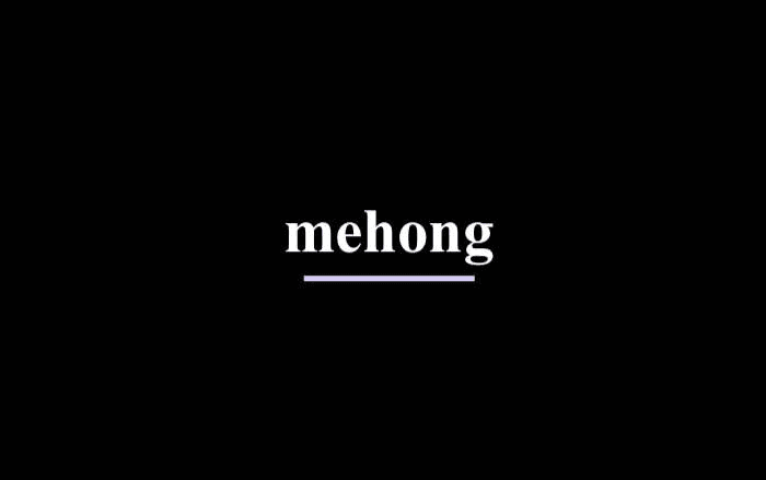 avatar Mehong Shop