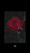 seller-image