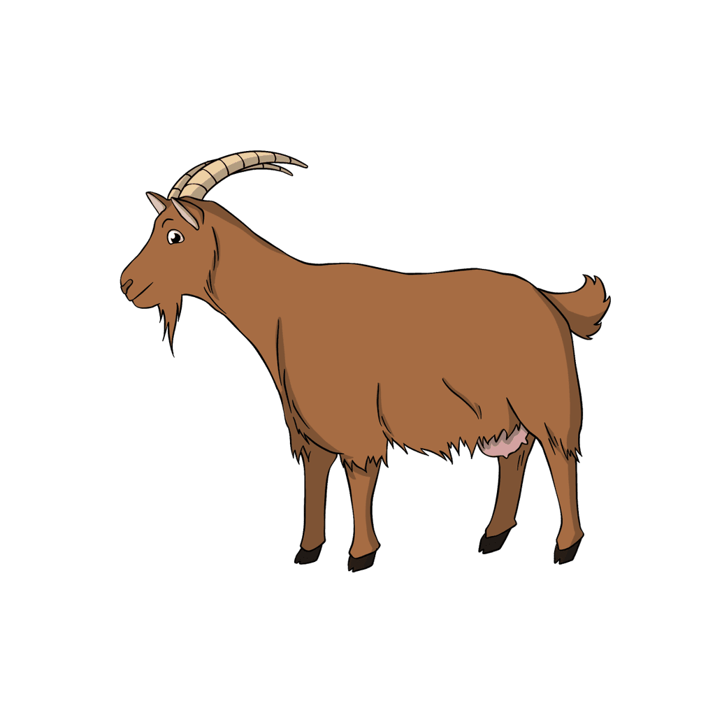 avatar KAMBING JP