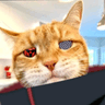 storeAvatar